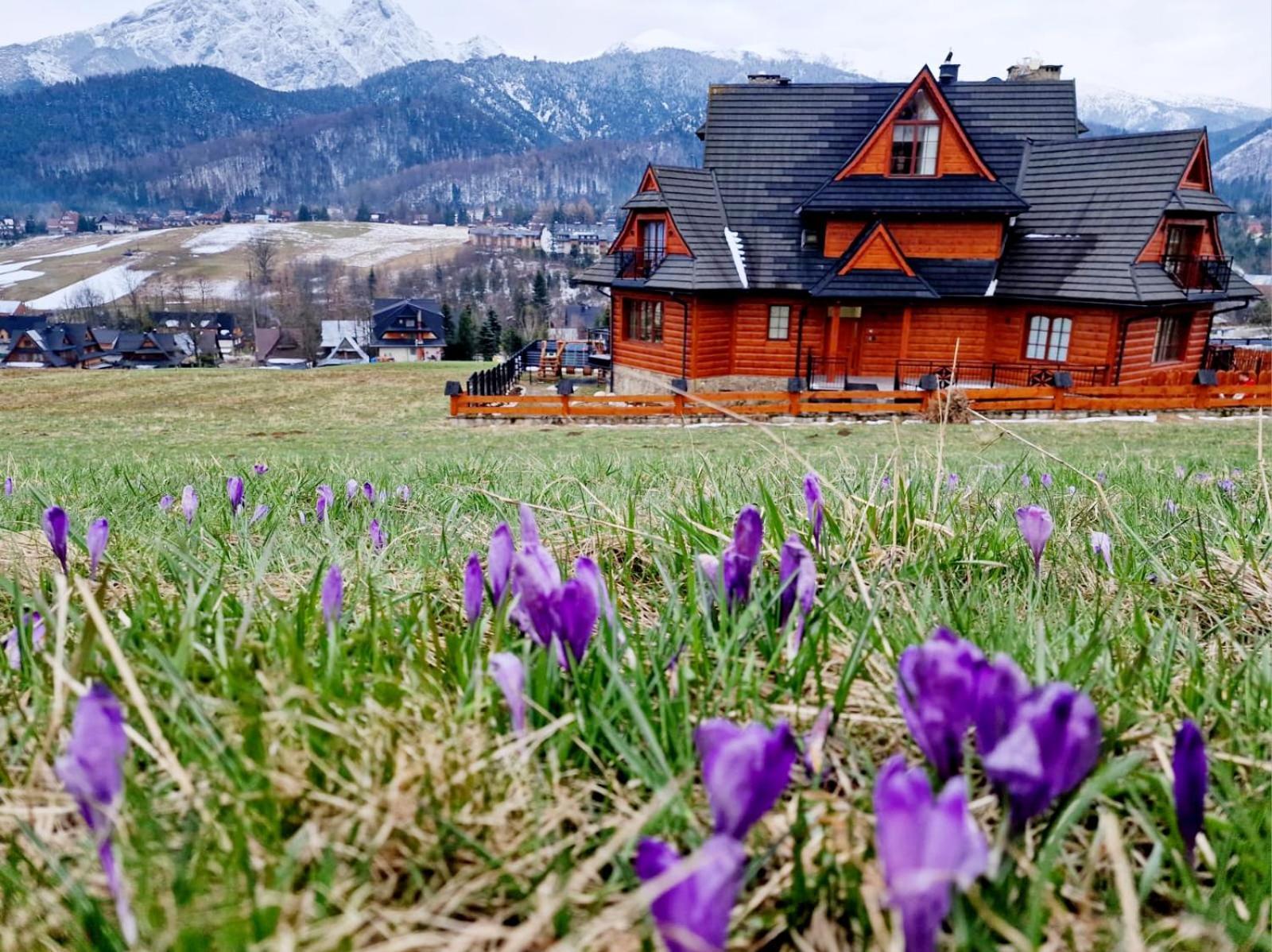Goralska Prowincja Apartment Koscielisko Luaran gambar